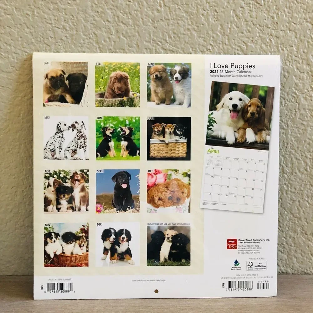 Puppies Wall Art Cat Dog Decor Calendar